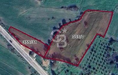 MUMCULAR'DA BODRUM ANA YOLUNA SIFIR SATILIK 6061 M2 TARLA