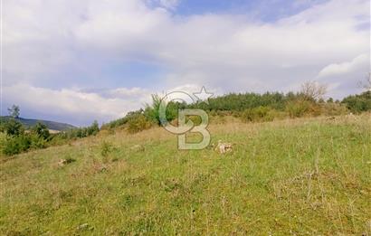 BURSA'DA KİRALIK 12.000 m2 MARJİNAL TARIM ARAZİSİ