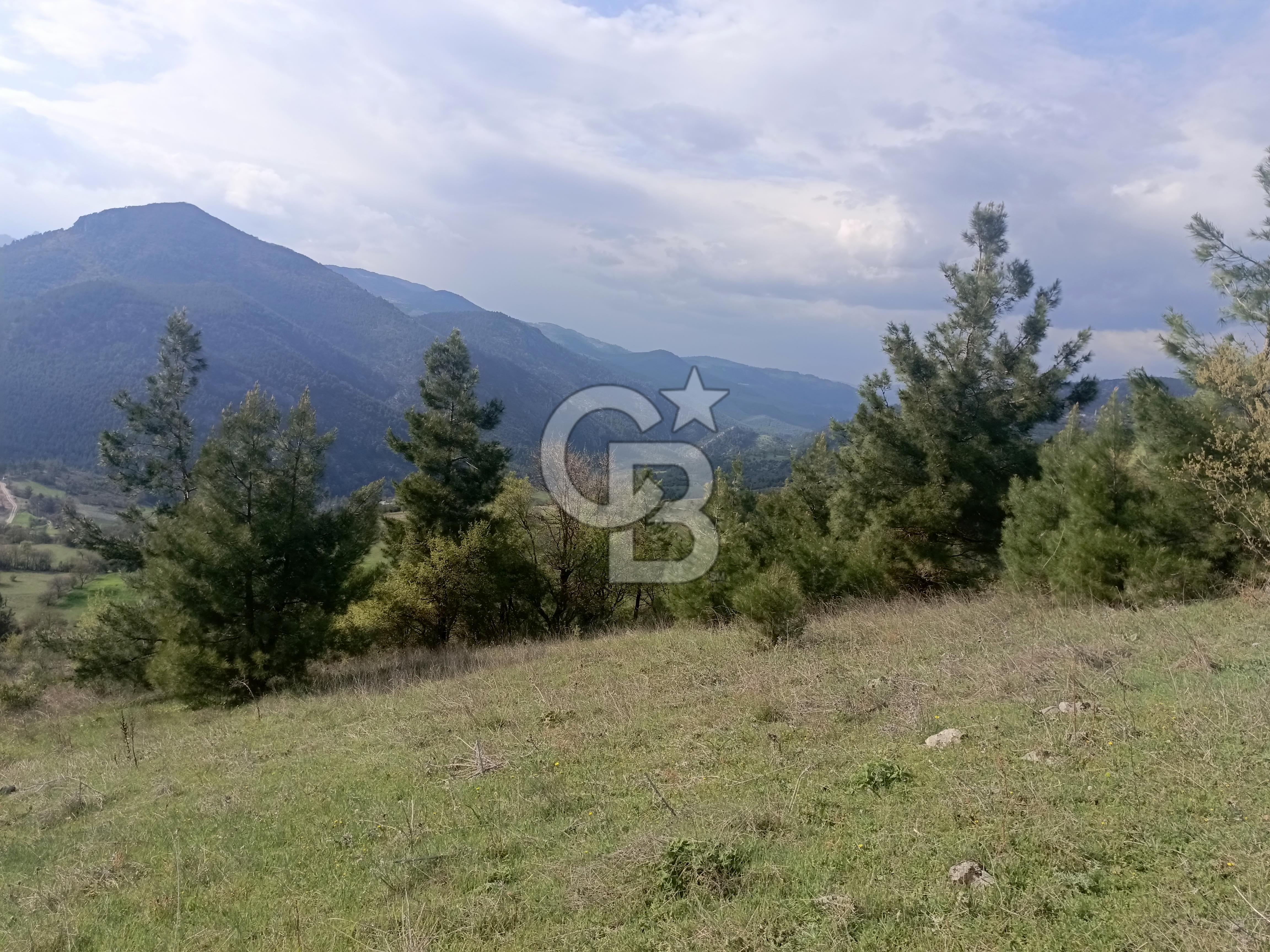 BURSA'DA KİRALIK 14.000 m2 MARJİNAL TARIM ARAZİSİ