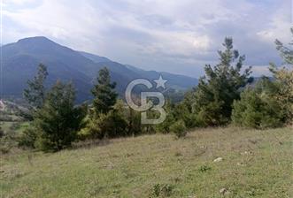 BURSA'DA KİRALIK 14.000 m2 MARJİNAL TARIM ARAZİSİ - 2 - 340207