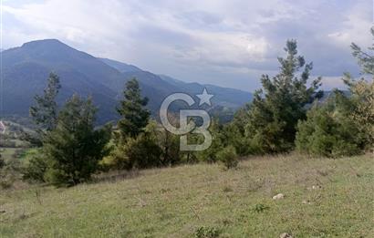 BURSA'DA KİRALIK 14.000 m2 MARJİNAL TARIM ARAZİSİ