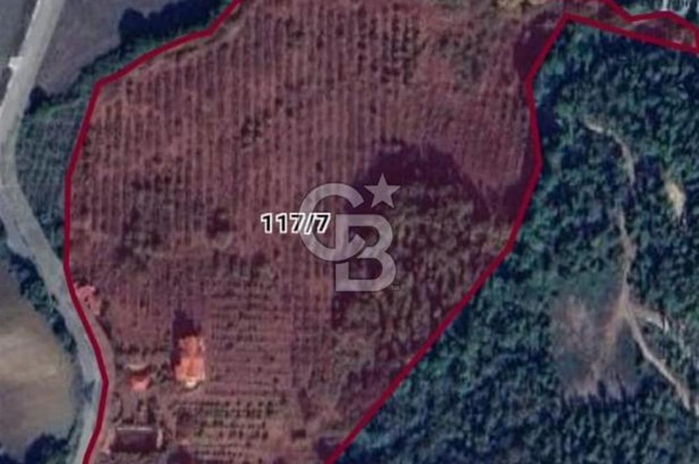 Yalova, Karadere Köyünde Meyve Bahçeli, Müstakil Konutlu Arsa