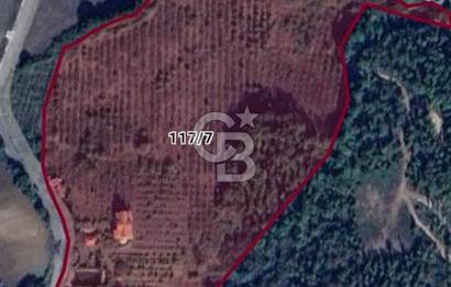 Yalova, Karadere Köyünde Meyve Bahçeli, Müstakil Konutlu Arsa