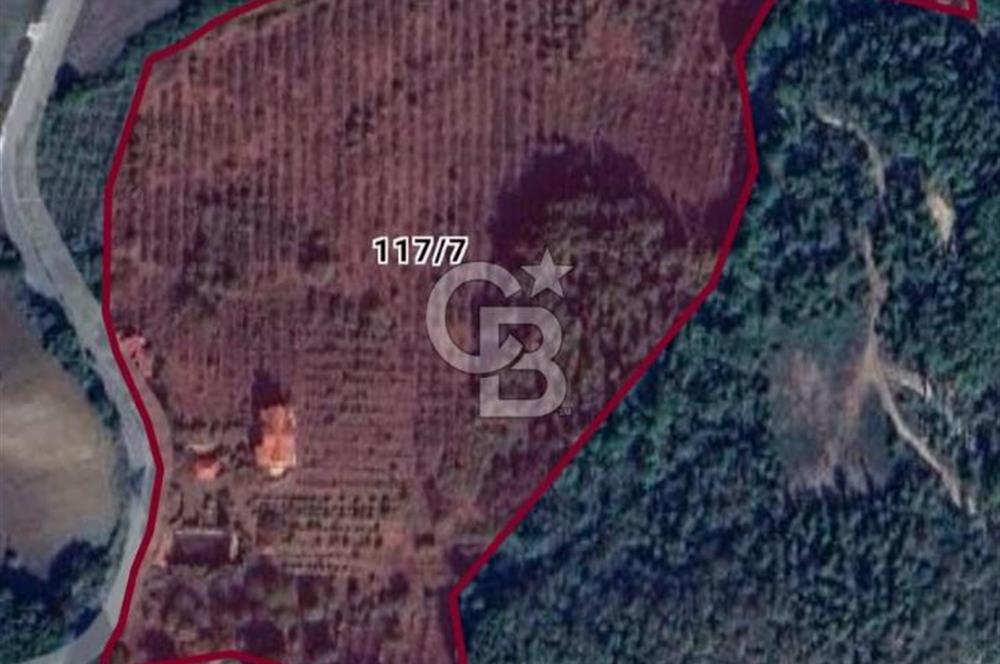 Yalova, Karadere Köyünde Meyve Bahçeli, Müstakil Konutlu Arsa