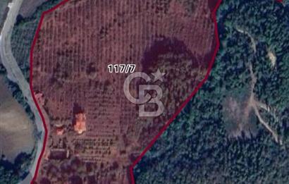 Yalova, Karadere Köyünde Meyve Bahçeli, Müstakil Konutlu Arsa