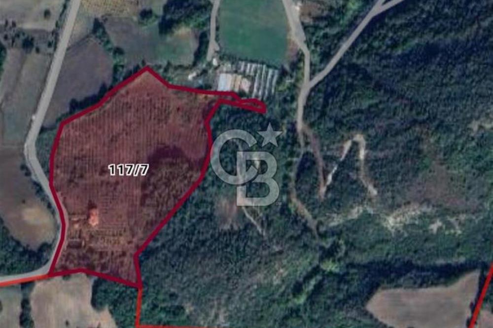 Yalova, Karadere Köyünde Meyve Bahçeli, Müstakil Konutlu Arsa