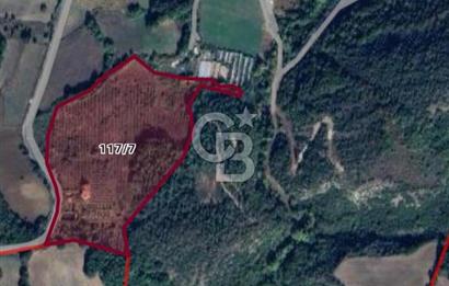 Yalova, Karadere Köyünde Meyve Bahçeli, Müstakil Konutlu Arsa