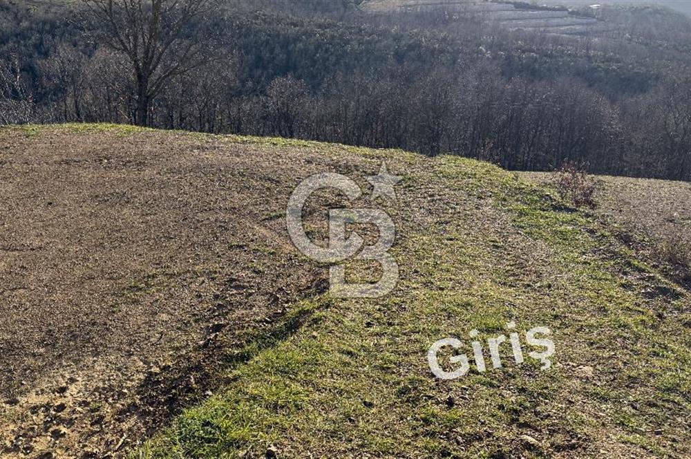 Nilüfer Unçukurunda Eşsiz Panoramik Uluabat Gölü Manzarası