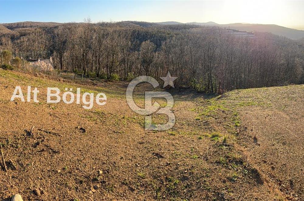 Nilüfer Unçukurunda Eşsiz Panoramik Uluabat Gölü Manzarası