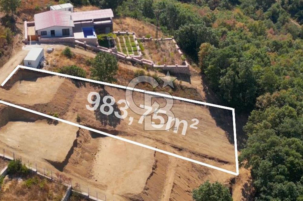 Nilüfer Unçukurunda Eşsiz Panoramik Uluabat Gölü Manzarası