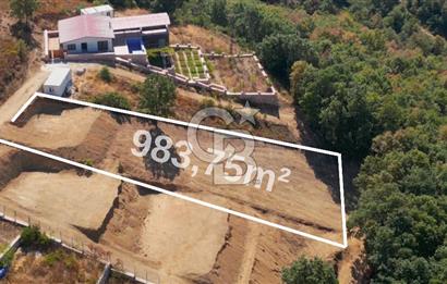 Nilüfer Unçukurunda Eşsiz Panoramik Uluabat Gölü Manzarası