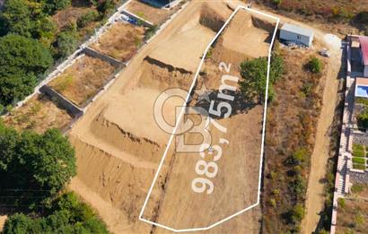 Nilüfer Unçukurunda Eşsiz Panoramik Uluabat Gölü Manzarası