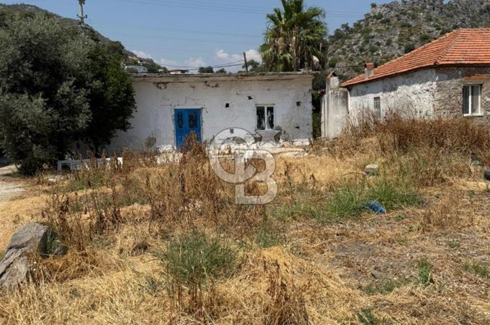 Muğla Milas Ören Mahallesi’nde Satılık Müstakil Ev ve Bahçe