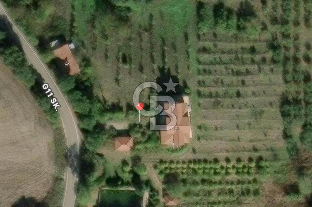 Yalova, Karadere Köyünde Meyve Bahçeli, Müstakil Konutlu Arsa