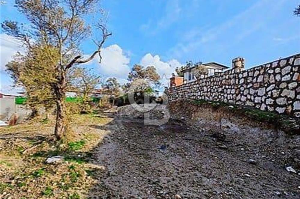 Kırıklarda yola cepheli 540 m2  tek tapu Tarla