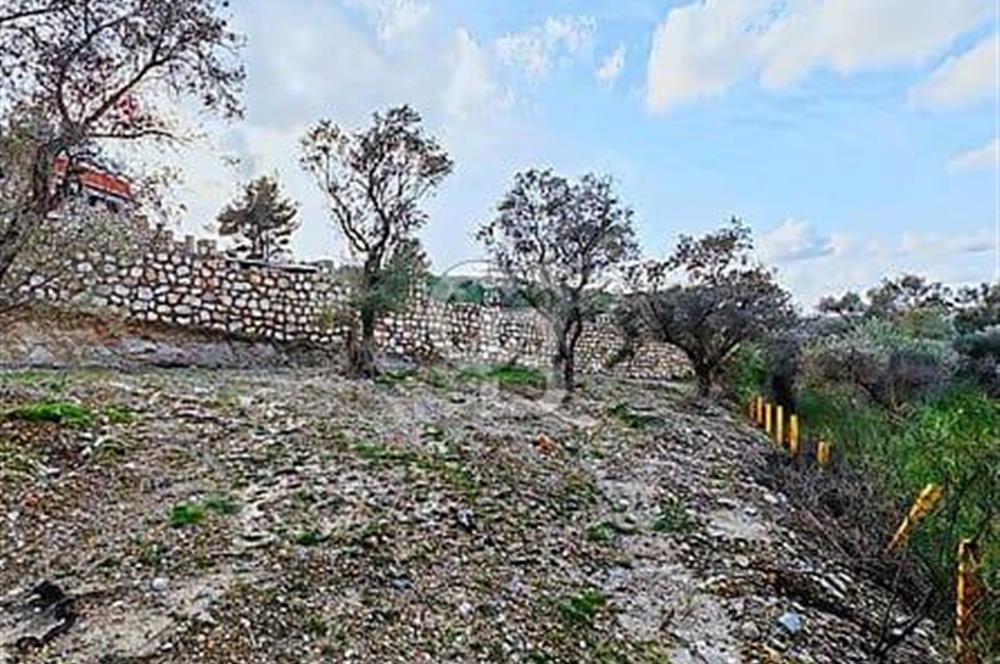 Kırıklarda yola cepheli 540 m2  tek tapu Tarla