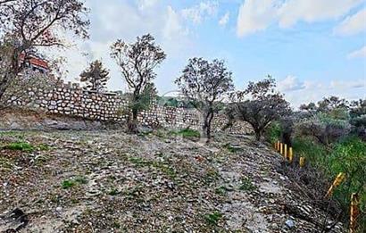 Kırıklarda yola cepheli 540 m2  tek tapu Tarla