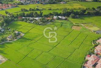 Antalya Çığlık'ta Satılık 513m² Müstakil Tapulu Arsa - 2 - 340348