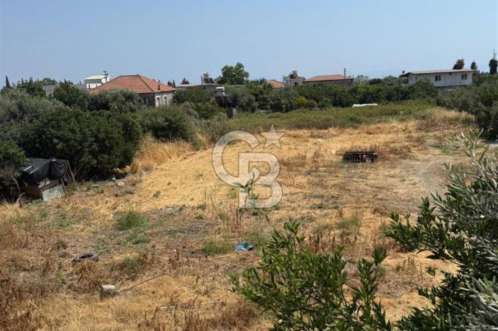 Muğla Milas Ören Mahallesi’nde Satılık Müstakil Ev ve Bahçe