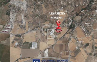 DEREKÖY MH.DE PLANLANAN KUZEY ÇEVRE YOLU CİVARI SATILIK TARLA