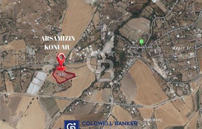 DEREKÖY MH.DE PLANLANAN KUZEY ÇEVRE YOLU CİVARI SATILIK TARLA