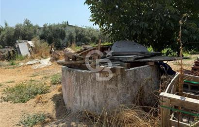 Muğla Milas Ören Mahallesi’nde Satılık Müstakil Ev ve Bahçe