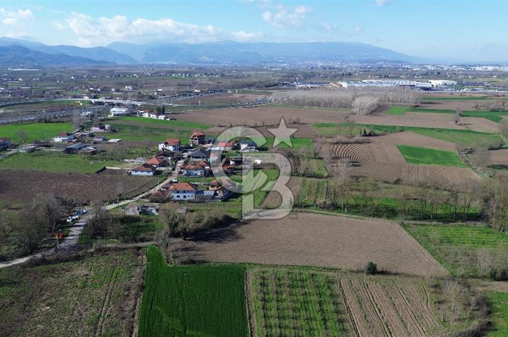 Epçellerde 6.028 m² | Kadastral Yollu | İmara Sınır Yatırımlık