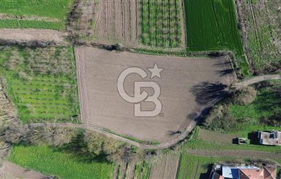 Epçellerde 6.028 m² | Kadastral Yollu | İmara Sınır Yatırımlık