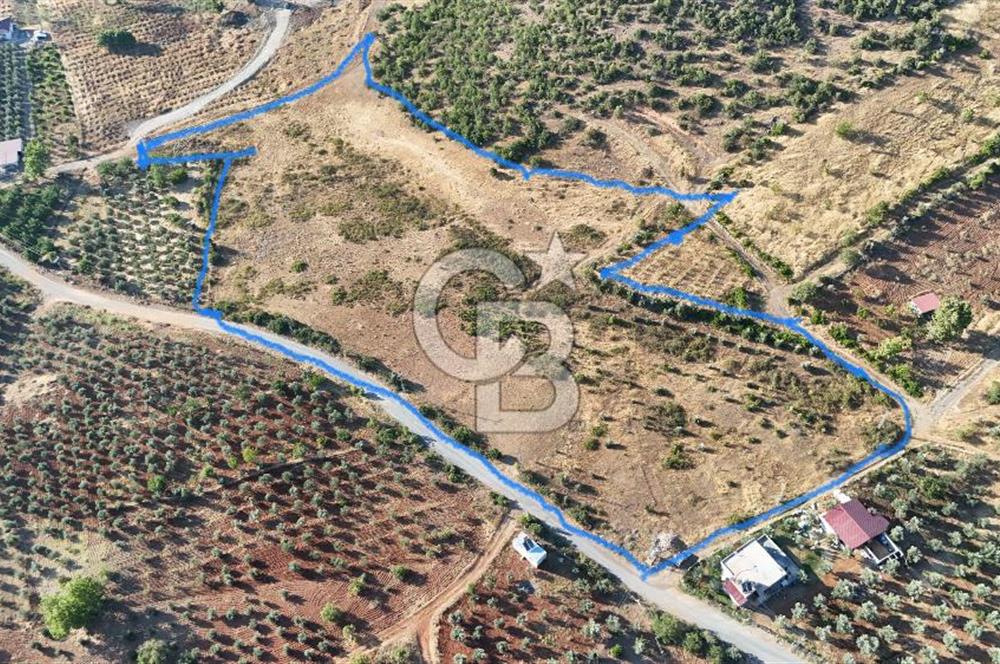 CB'DEN YEŞİLYÖRE KARAUŞAĞINDA (19,853 m2) SATILIK TARLA