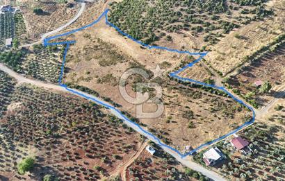 CB'DEN YEŞİLYÖRE KARAUŞAĞINDA (19,853 m2) SATILIK TARLA