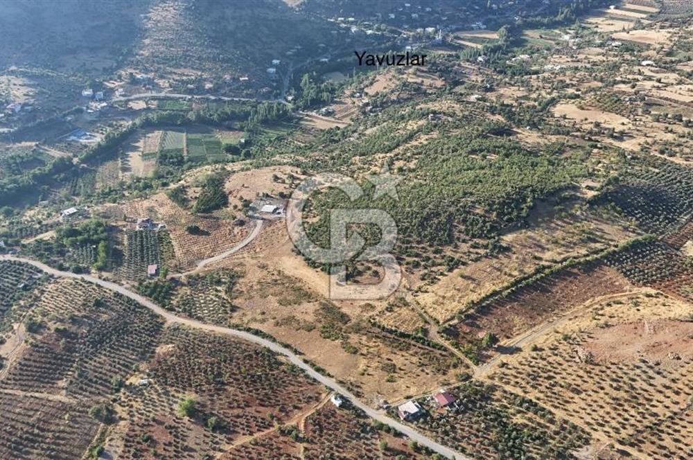 CB'DEN YEŞİLYÖRE KARAUŞAĞINDA (19,853 m2) SATILIK TARLA