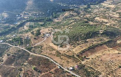 CB'DEN YEŞİLYÖRE KARAUŞAĞINDA (19,853 m2) SATILIK TARLA