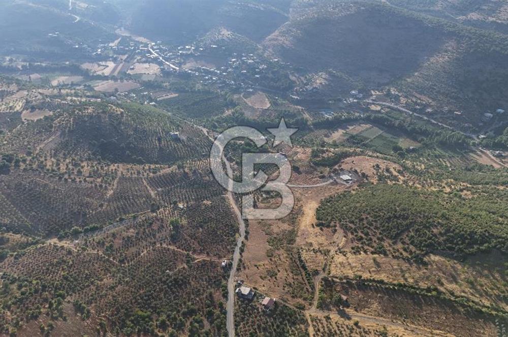 CB'DEN YEŞİLYÖRE KARAUŞAĞINDA (19,853 m2) SATILIK TARLA