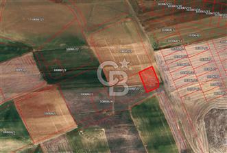 SİNCAN TEMELLİ ÇOKÖREN'DE SATILIK VİLLA İMARLI ARSA - 5 - 340350