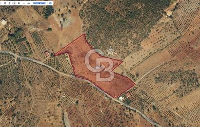 CB'DEN YEŞİLYÖRE KARAUŞAĞINDA (19,853 m2) SATILIK TARLA