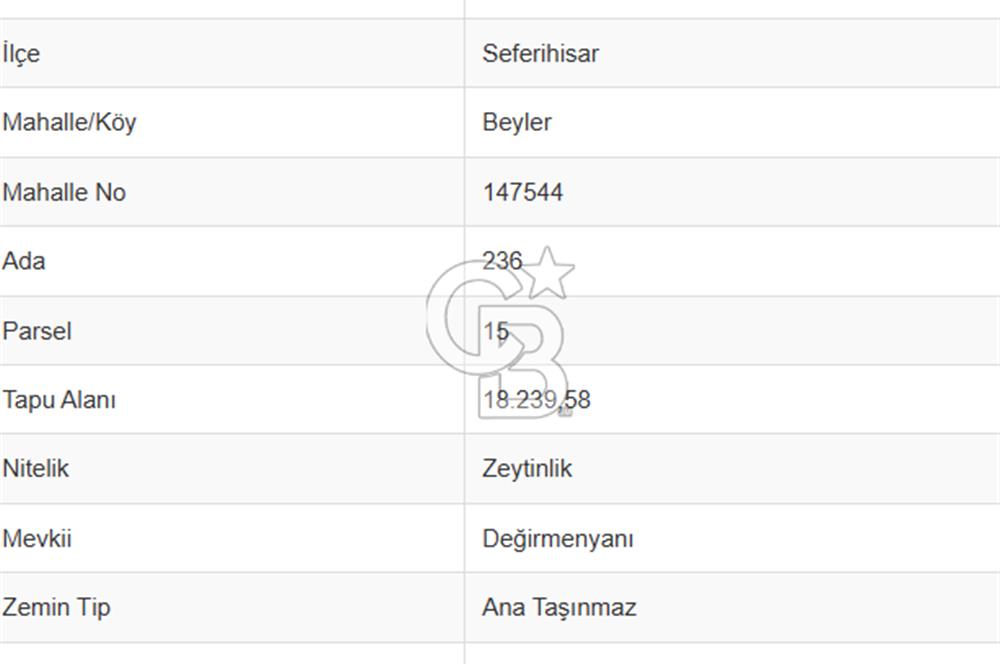 Seferihisar'da Değerlenen Bölgede Zeytinlik Fırsatı