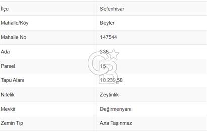 Seferihisar'da Değerlenen Bölgede Zeytinlik Fırsatı