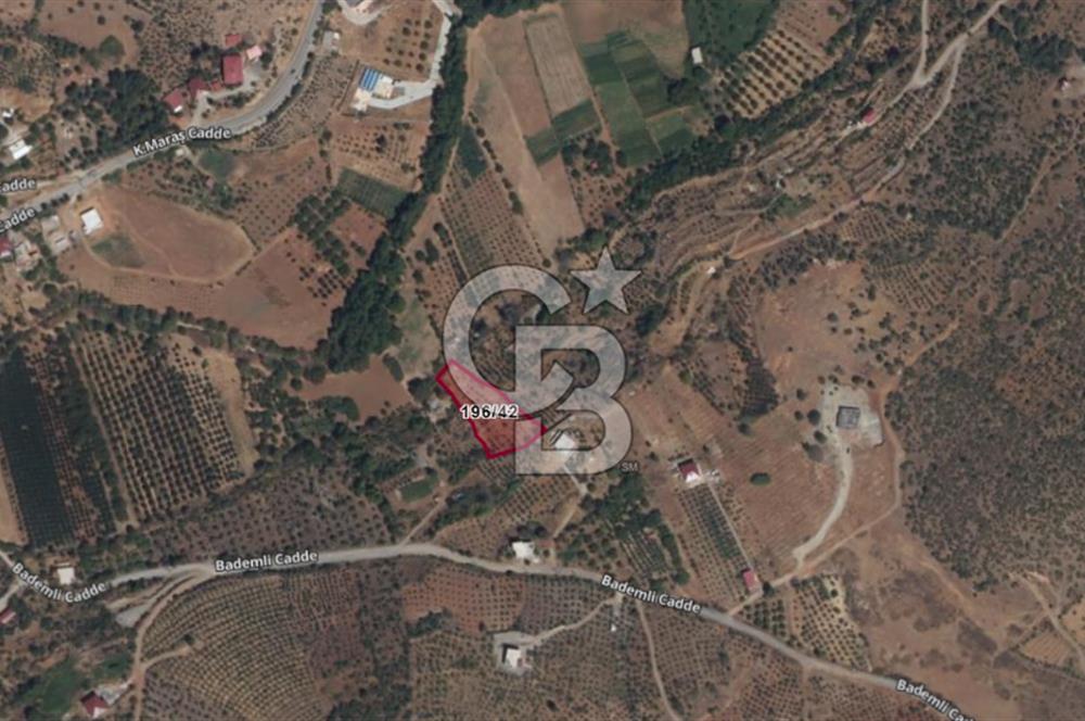 CB'DEN YEŞİLYÖREDE SATILIK FIRSAT ZEYTİNLİK