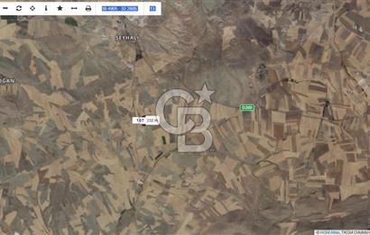 YATIRIM FIRSATI POLATLI SİVRİ TEK TAPU SATILIK TARLA