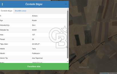 YATIRIM FIRSATI POLATLI SİVRİ TEK TAPU SATILIK TARLA