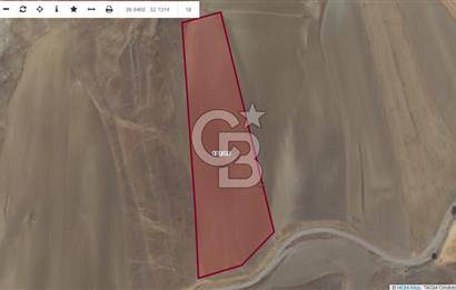 YATIRIM FIRSATI POLATLI KARAAHMET SATILIK TEK TAPU TARLA