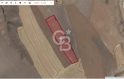 YATIRIM FIRSATI POLATLI KARAAHMET SATILIK TEK TAPU TARLA