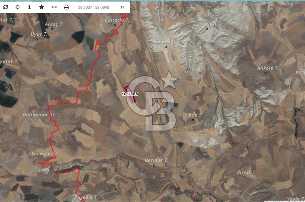 YATIRIM FIRSATI POLATLI KARAAHMET SATILIK TEK TAPU TARLA