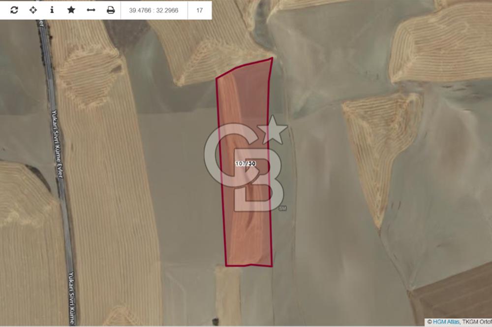 YATIRIM FIRSATI POLATLI SİVRİ TEK TAPU SATILIK TARLA