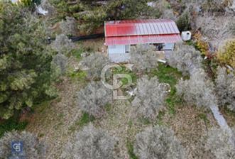 Bornova Yakaköy de Doğayla İç İçe 2+1 Kiralık Bahçeli Prefabrik - 2 - 340321