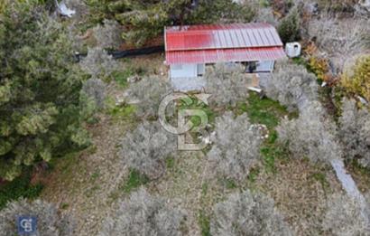 Bornova Yakaköy de Doğayla İç İçe 2+1 Kiralık Bahçeli Prefabrik