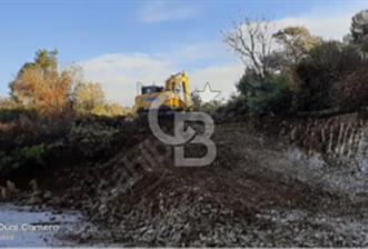 BERGAMA AVUNDUK'DA SATILIK TARLA 3769 M2 - 8 - 340355