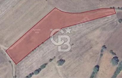 Satilik Tarla Tek Tapu-Çanakkale Biga