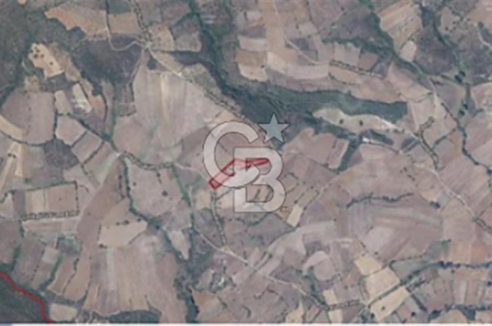 Satilik Tarla Tek Tapu-Çanakkale Biga