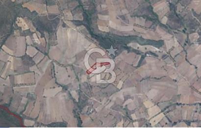 Satilik Tarla Tek Tapu-Çanakkale Biga